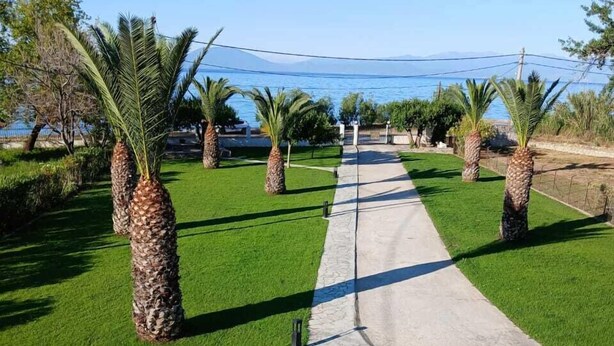 Un sendero que atraviesa un jardín bien cuidado, con palmeras y una vista despejada del mar al fondo.