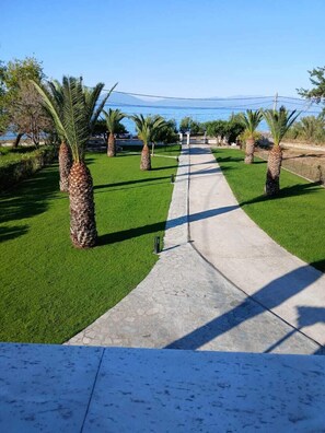 Un sendero que atraviesa un jardín bien cuidado, con palmeras y una vista despejada del mar al fondo.