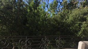 An outdoor dining area with a table set for breakfast, including fruits, bread, and beverages. - La Garrinière (Saint-Raphael)
