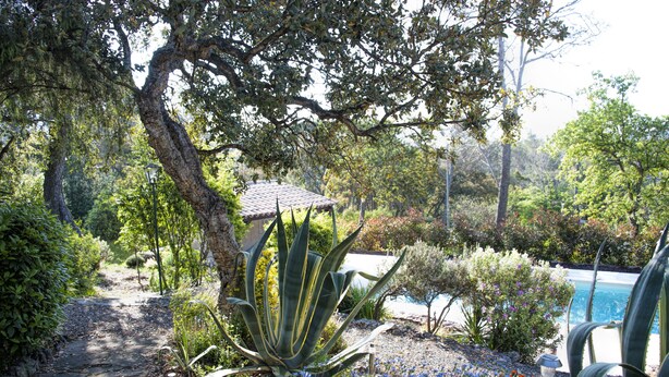 A garden with a pathway, a small gazebo, and a pool. - La Garrinière (Saint-Raphael)
