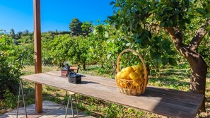 Àrea exterior de l'allotjament