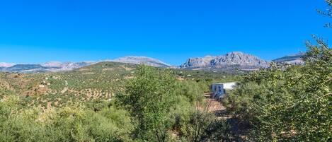 A rural landscape with a small white building, possibly a farm or guesthouse, surrounded by dense vegetation and mountains in the background.