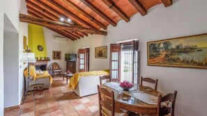 TV, fireplace, table tennis - La Viña del Arenal Pizarra by Ruralidays (Málaga)