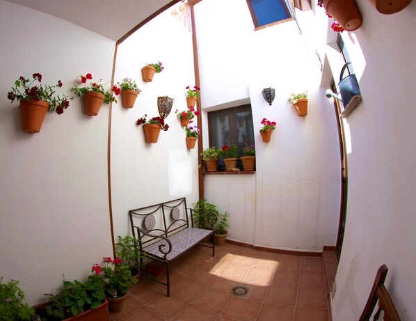A small patio area with a bench, potted plants, and a window. - Casa Rural Meliton (Povedilla)
