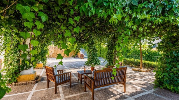 Ein Sitzbereich im Freien mit Holzmöbeln und einer von grünen Weinreben bewachsenen Pergola.