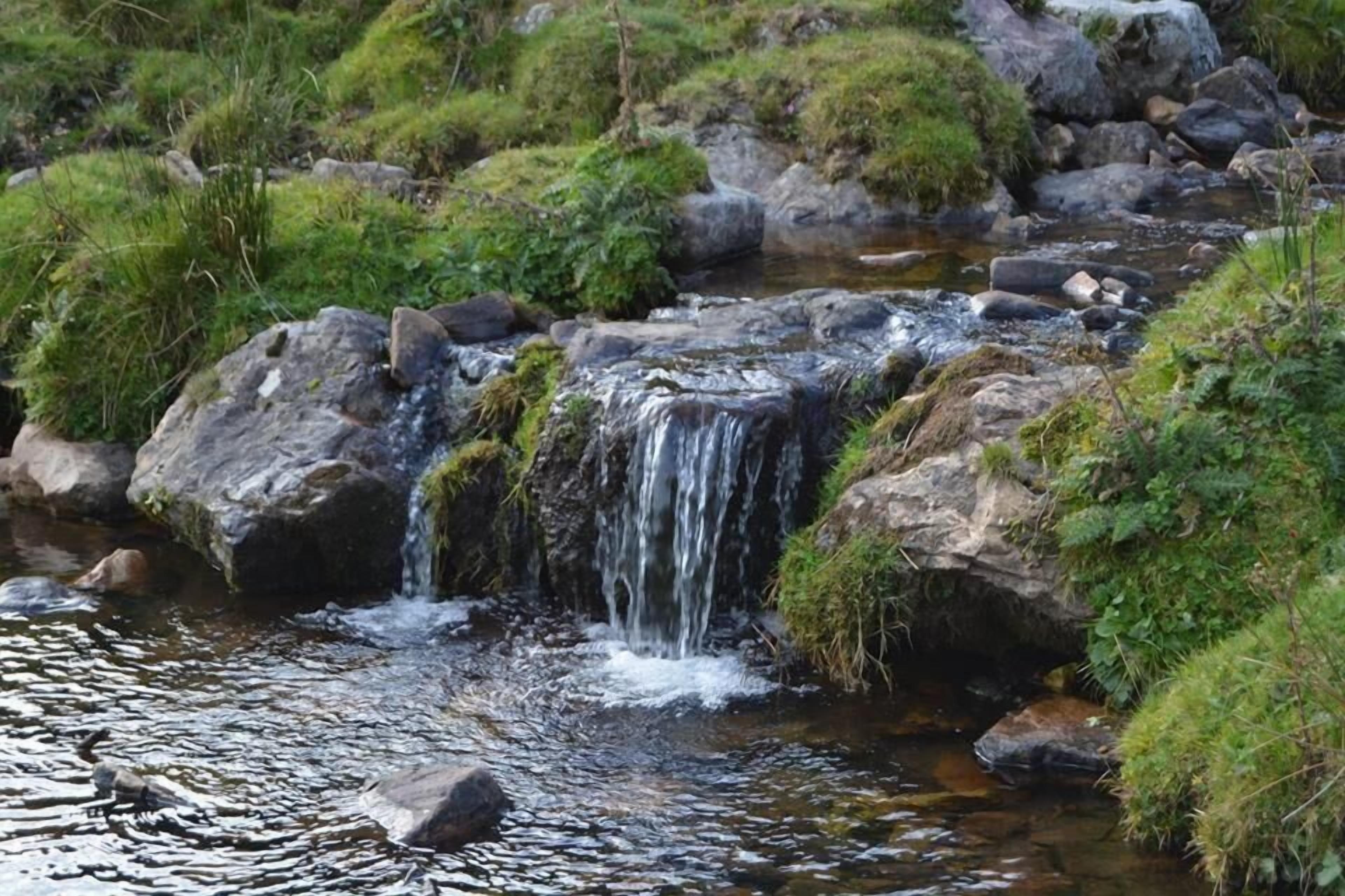 Photo - Núcleo de turismo Rural La Corte