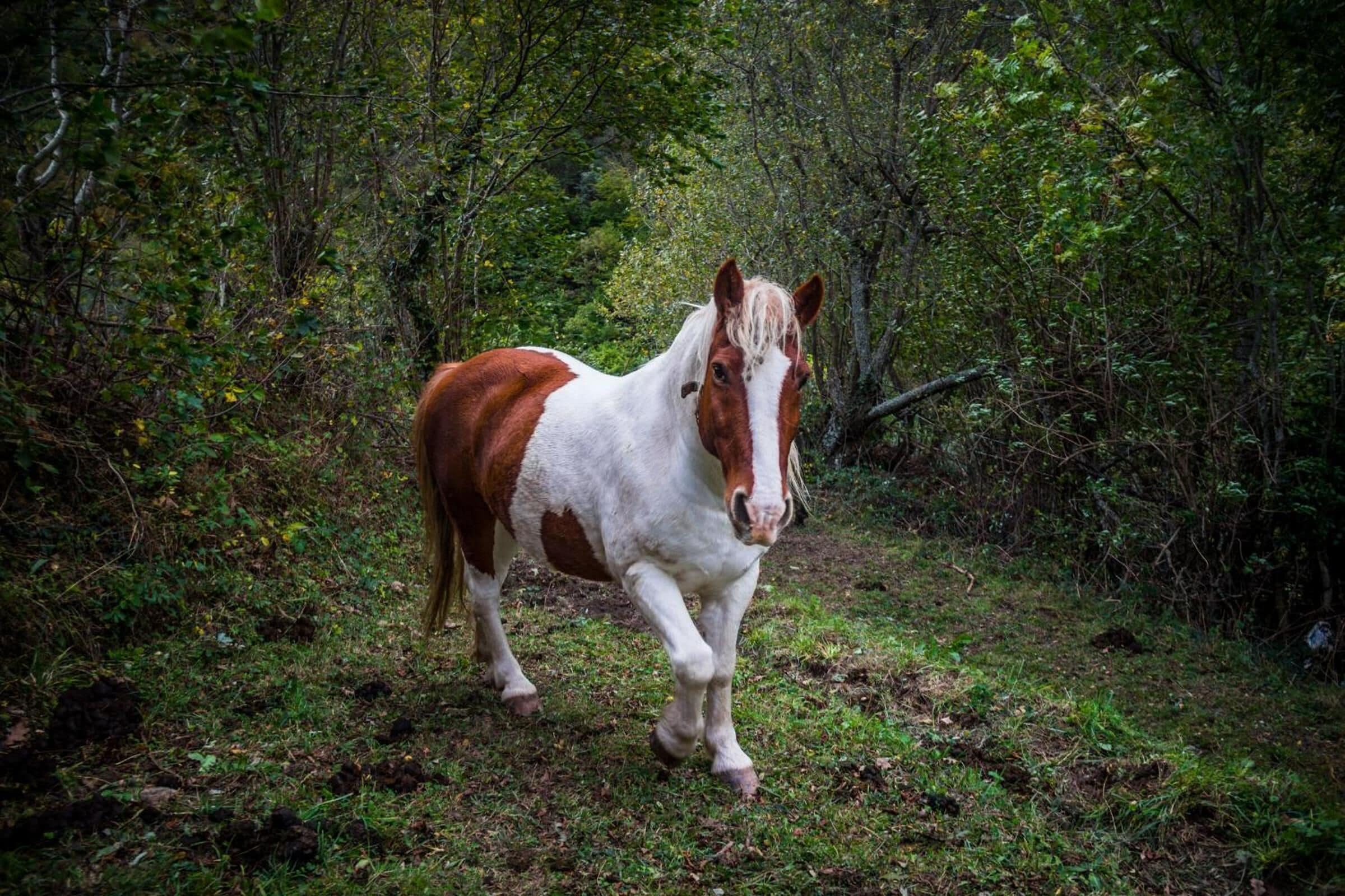 Photo - Núcleo de turismo Rural La Corte