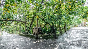 A stone-paved pathway lined with trees bearing yellow fruits, possibly lemons, under a covered structure. - Agriturismo Il Giardino di Vigliano (Massa Lubrense)