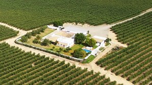 Vue aérienne d’une propriété comprenant un grand bâtiment entouré de rangées d’arbres soigneusement alignées.