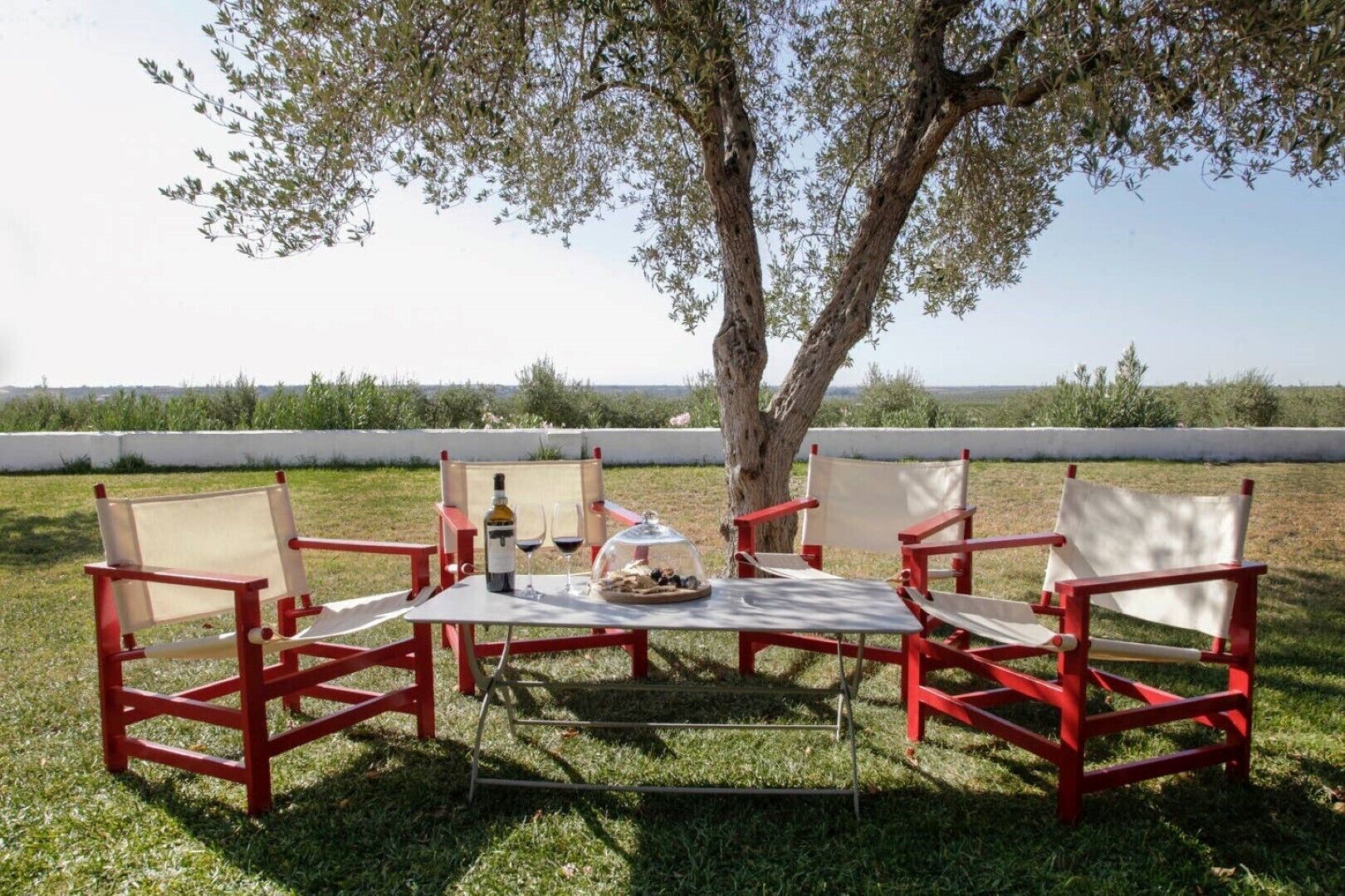 Un área de estar al aire libre con una mesa y sillas bajo un árbol, con vistas a un campo.