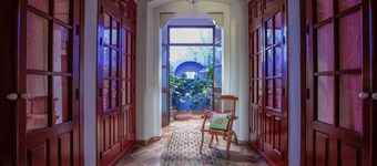 Casablanca: Rest among olive trees