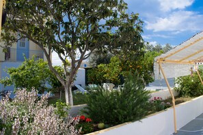 Property grounds - Vangelis Traditional  House (Spetses)