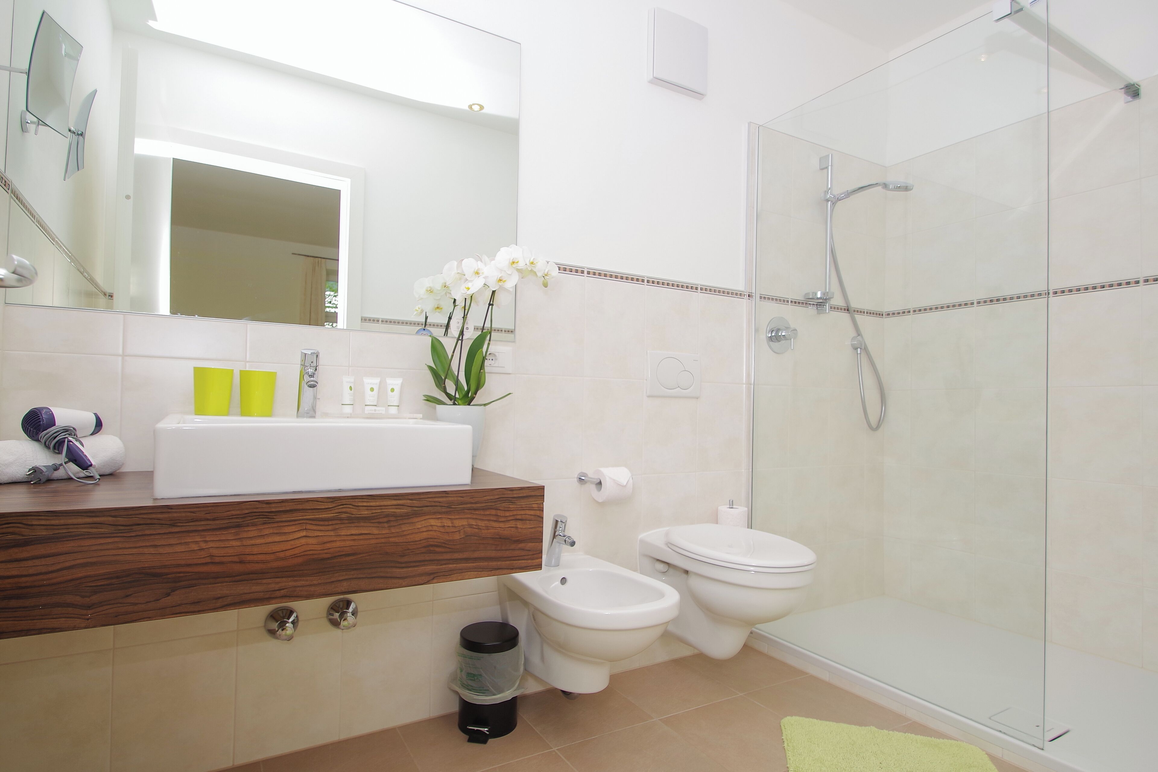 Dusche, Haartrockner, Bidet, Handtücher