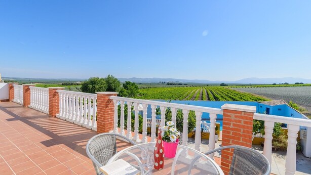 Eine Terrasse mit Blick auf Weinberge, einem weißen Geländer und einem Tisch mit Stühlen.