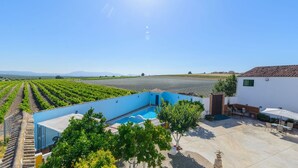 Ein Poolbereich mit Blick auf Weinberge, eine Terrasse mit Gartenmöbeln und ein weißes Gebäude mit Ziegeldach.