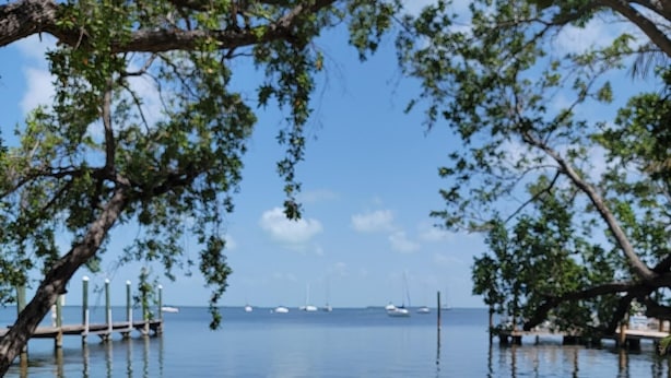 Two beach chairs facing a calm sea with boats in the distance and a dock with poles. - Beachfront Hideaway in the heart of Key Largo! Your own private beach! (Key Largo)