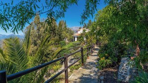 A pathway leading to a building surrounded by lush greenery and a clear blue sky.