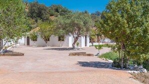 Ein gepflasterter Innenhof mit weißen Gebäuden, Bäumen und blauem Himmel.
