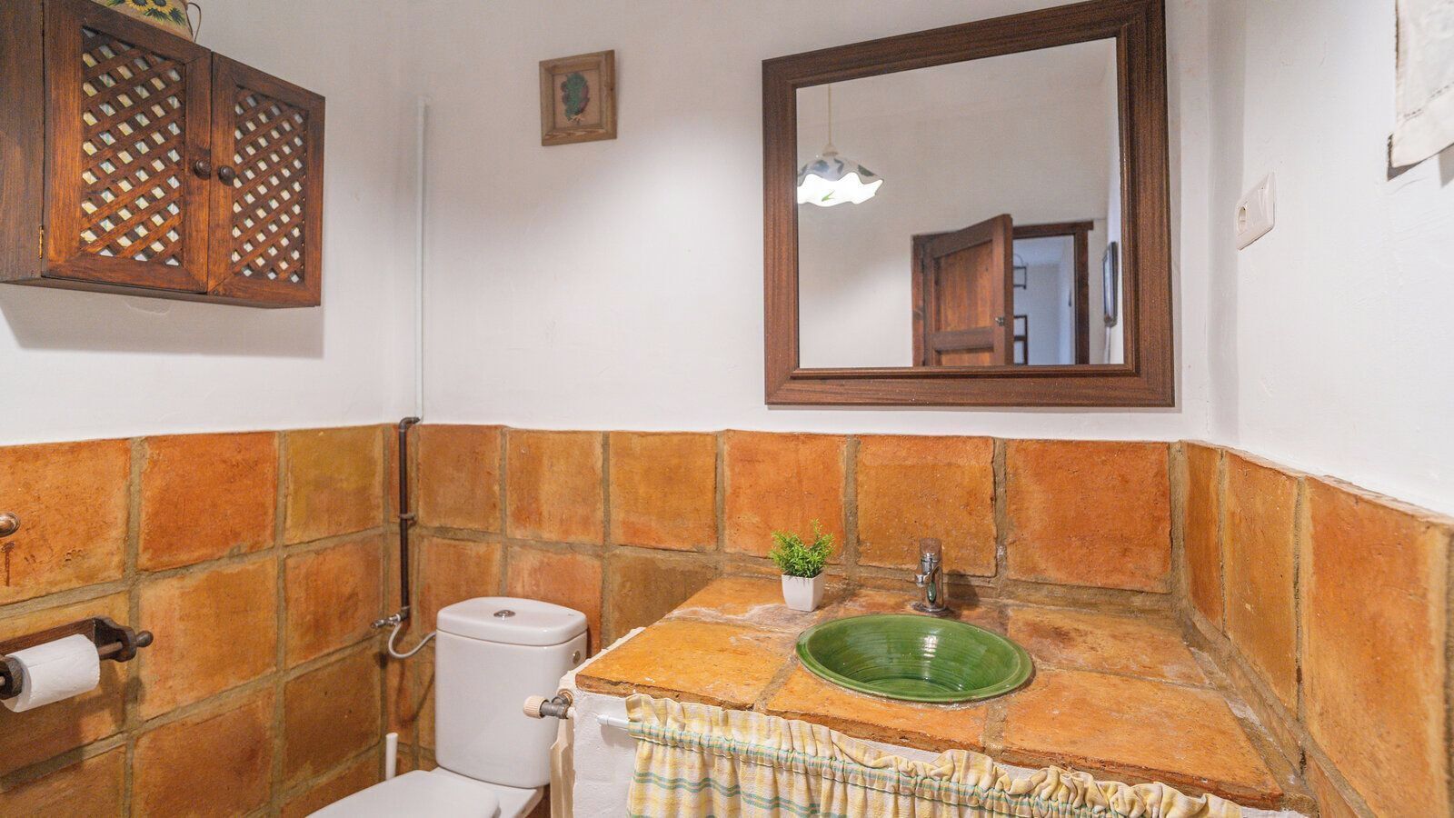 Un bany amb vàter, un lavabo verd, un mirall i una petita planta en test.