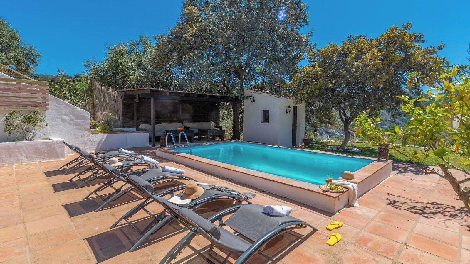 A pool area with lounge chairs and a small building, surrounded by trees and a clear sky.