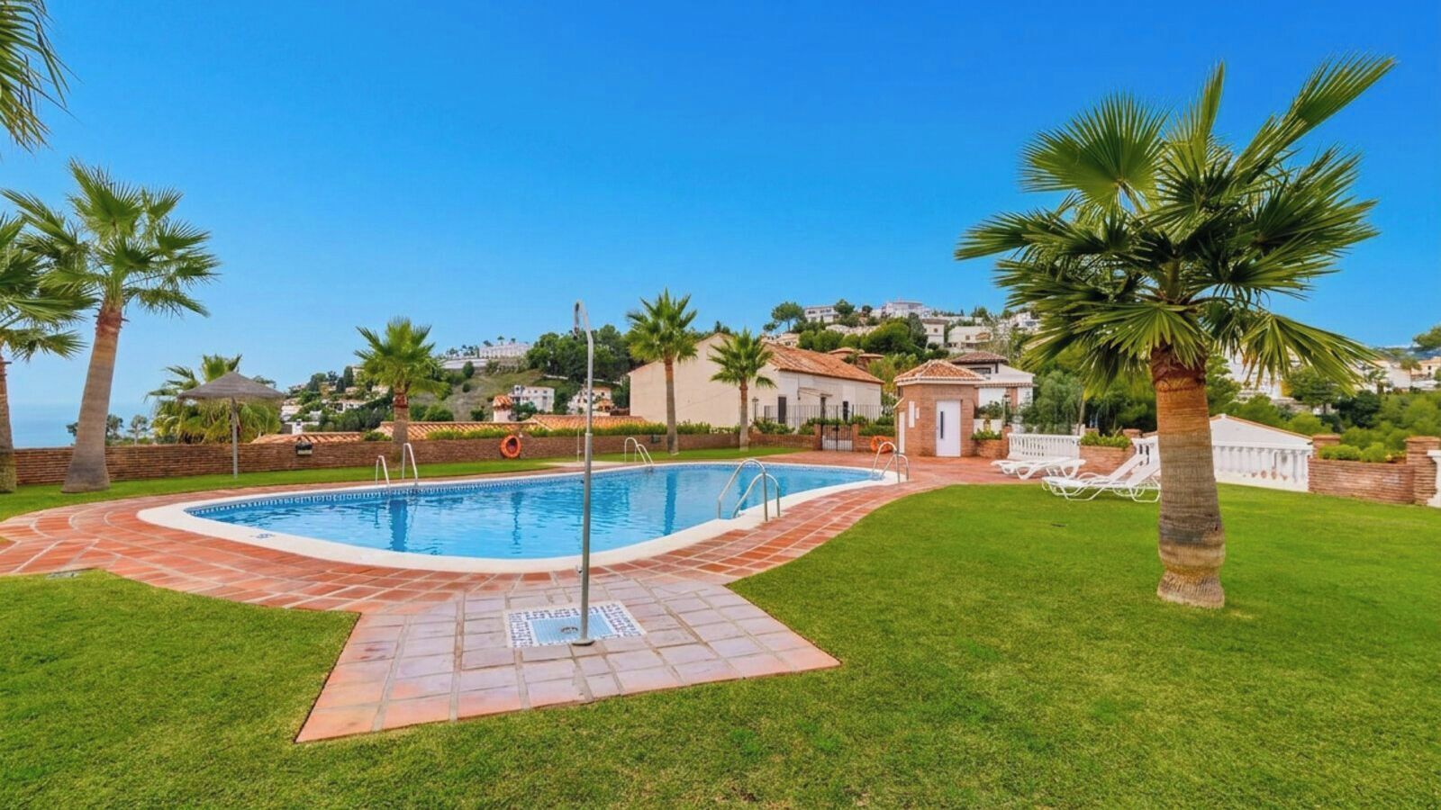 Une piscine dotée d’une terrasse carrelée, entourée de pelouse et de palmiers.