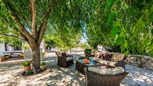 An outdoor seating area with wicker furniture, a tree, and potted plants.