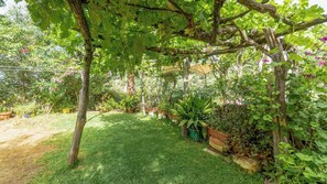 Un jardín con pérgola, diversas plantas y un sendero de ladrillo.
