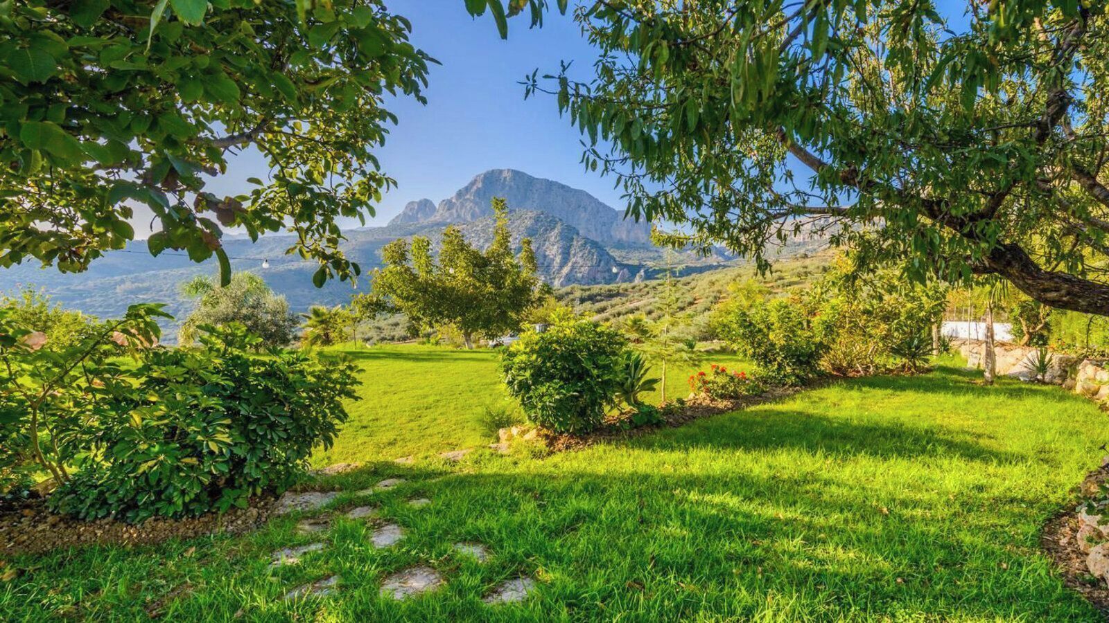 Un paysage verdoyant et luxuriant, avec une vue dégagée sur les montagnes en arrière-plan.