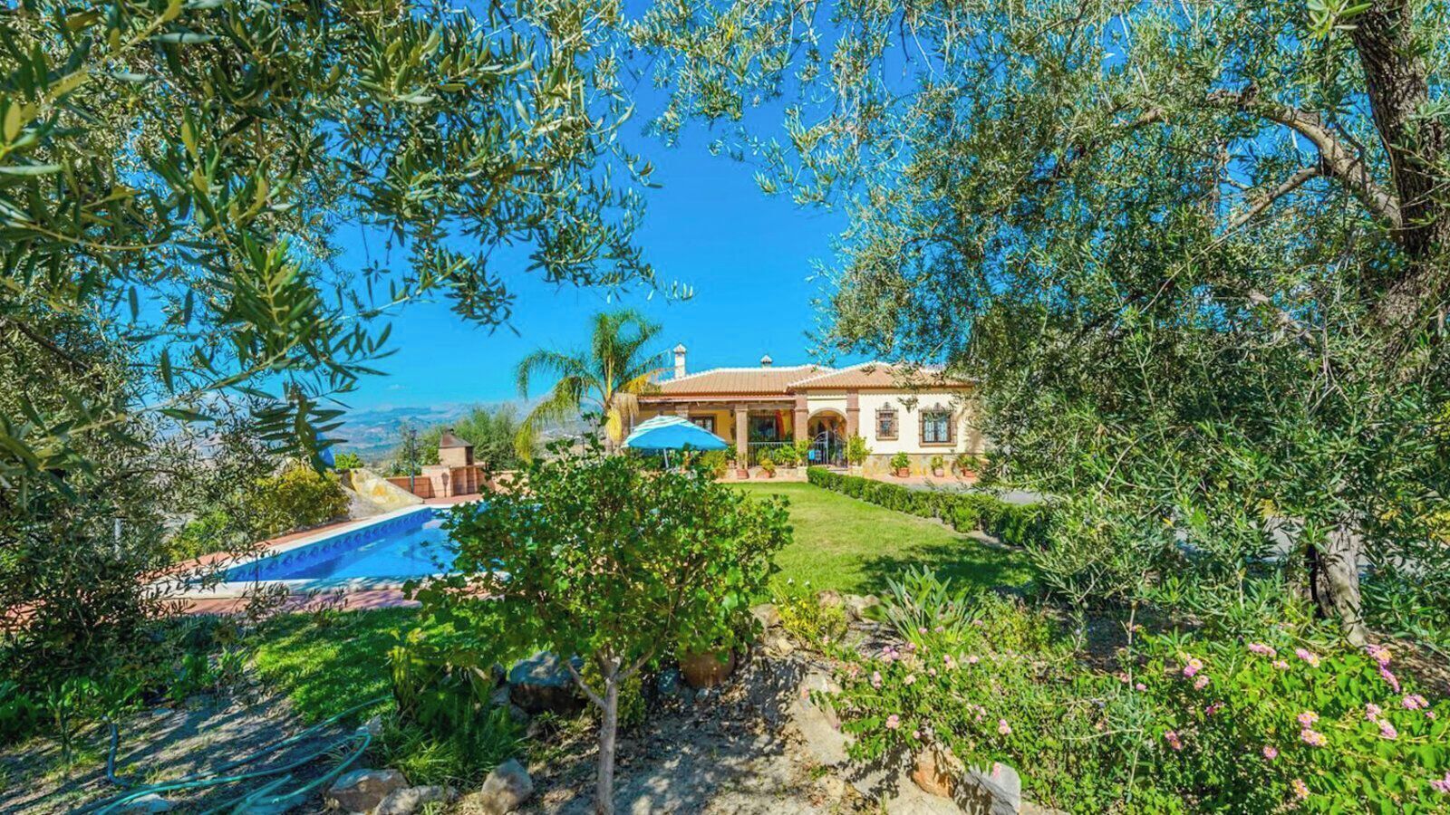 A house with a swimming pool, surrounded by greenery and a clear blue sky.