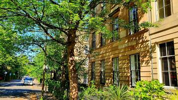 A tree-lined street with a building featuring multiple windows and a metal fence.