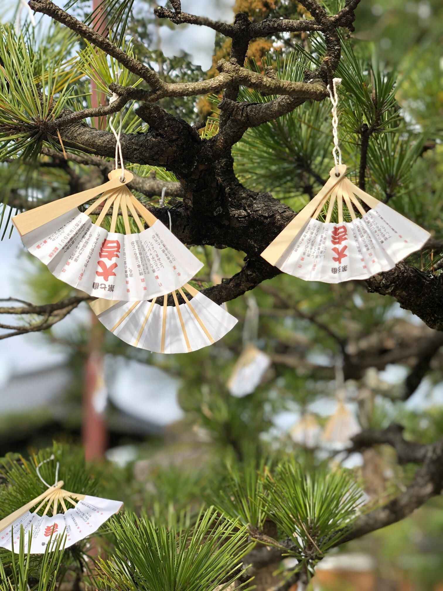 A tree with pine needles and hanging paper fans with Japanese characters.
