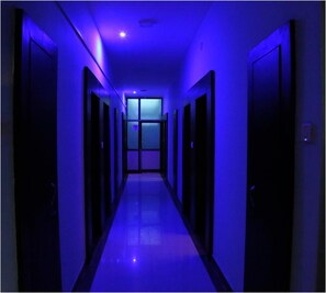A hallway with doors on both sides, leading to a room with a window at the end.