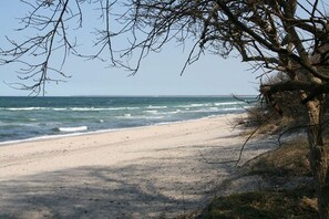 A beach with a sandy shore and a tree in the foreground. - Landhotel Ostseetraum & Fewo (Rostock)