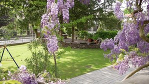 A garden with a stone wall, a lawn, and purple flowering trees. - Gästehaus Musmann (Hann. Muenden)