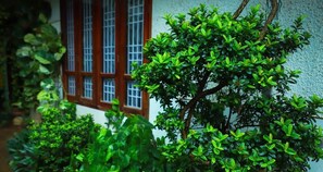 A traditional building with a window and lush greenery. - Nutshell Airport Retreat by the Sea (Thiruvananthapuram)