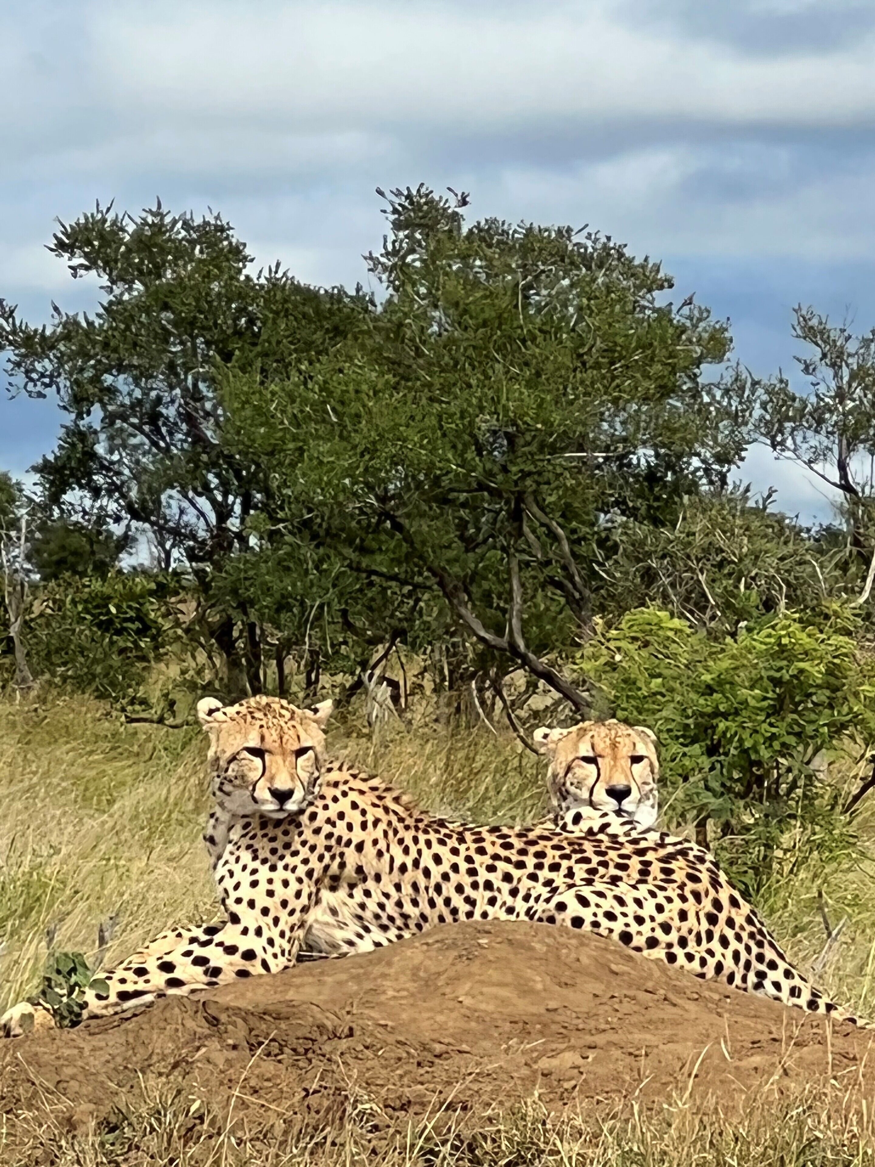 Photo - YEBO Boutique Guesthouse