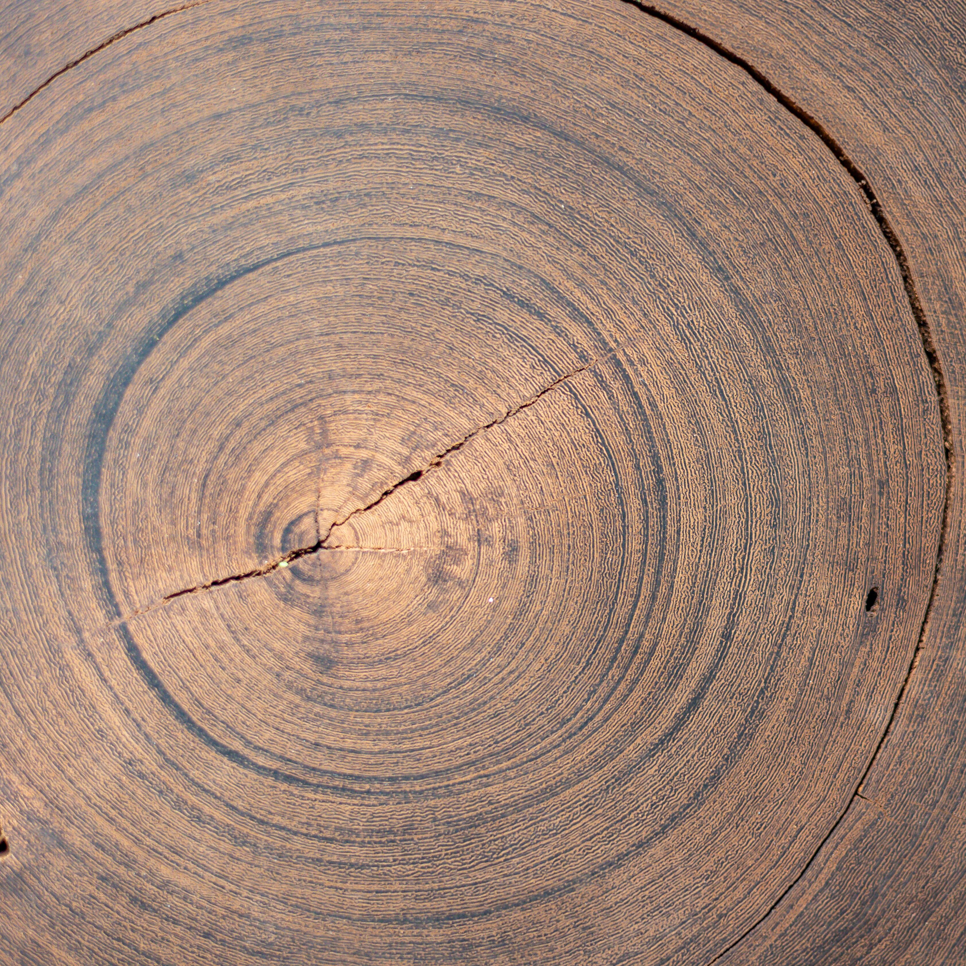 Photo - YEBO Boutique Guesthouse