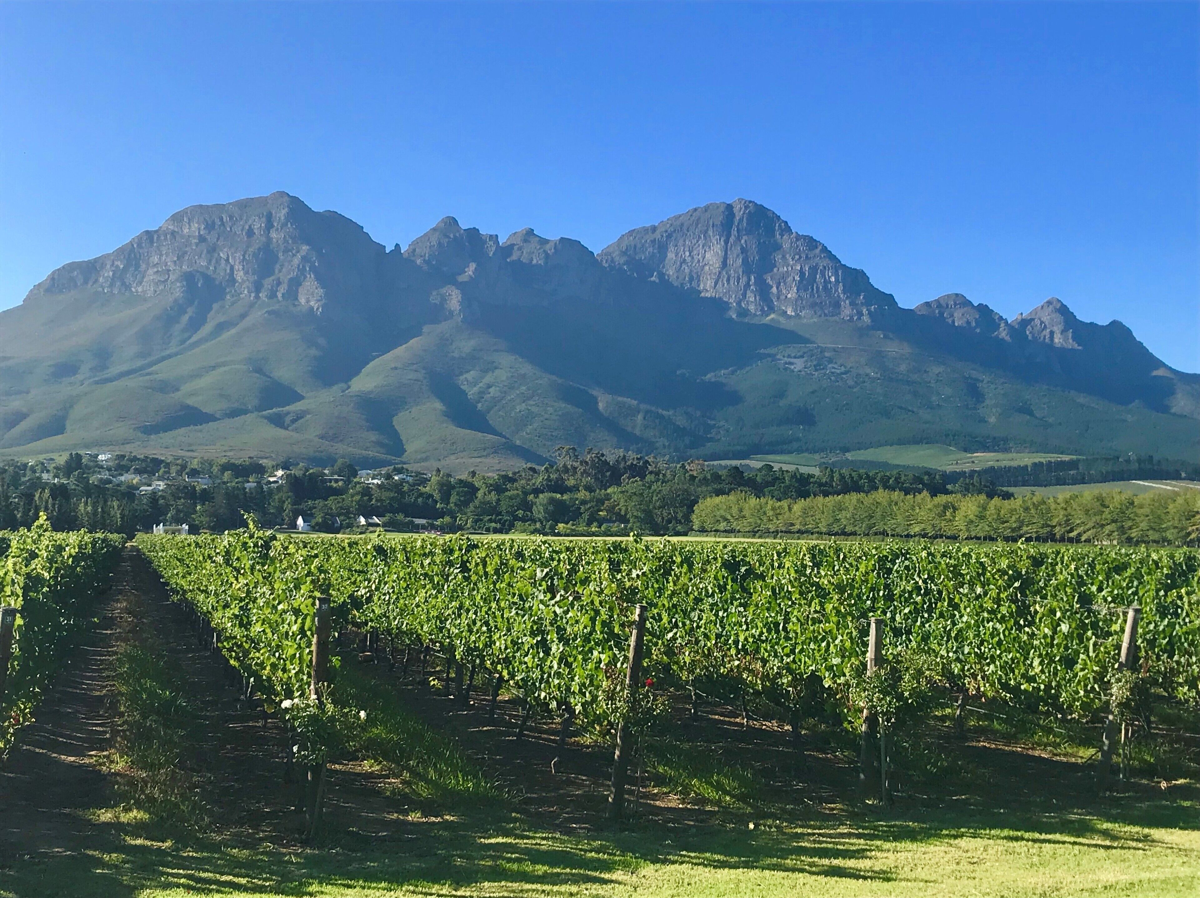 Photo - YEBO Boutique Guesthouse