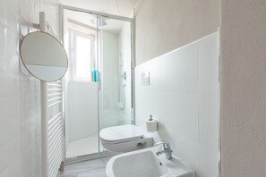 Shower, hair dryer, bidet, towels