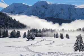 Sports dâhiver