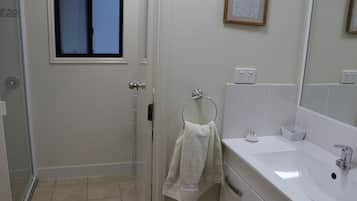 Shower, eco-friendly toiletries, hair dryer, towels