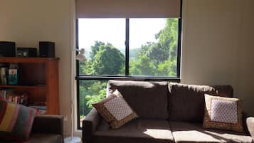 Televisión, chimenea, reproductor de DVD y libros