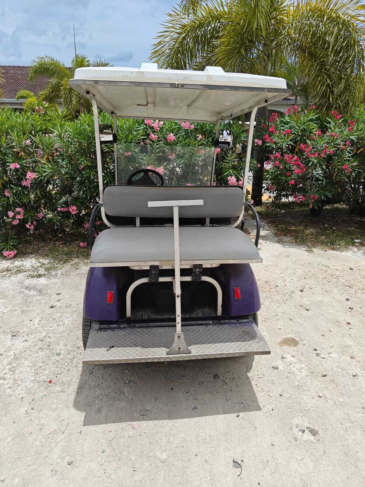 A golf cart with a canopy, positioned on a concrete surface with surrounding greenery and flowering plants.
