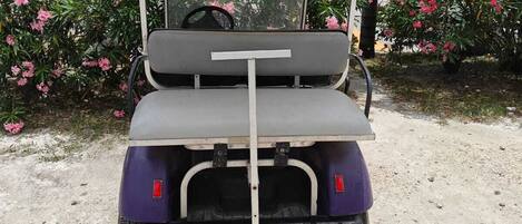 A golf cart with a canopy, positioned on a concrete surface with surrounding greenery and flowering plants.