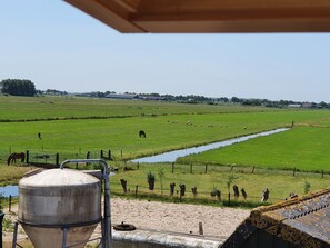 Terrain de l’hébergement 