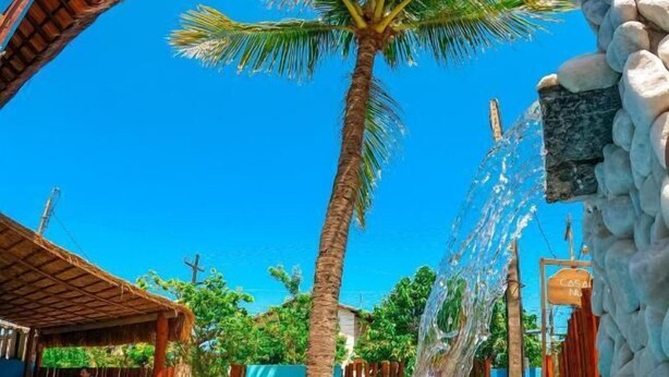 A swimming pool with a palm tree and a stone wall. - Pousada Casa Nui by Concavus (Ipojuca)