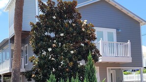 Una casa de dos pisos con un balcón, un árbol con flores blancas y una valla de madera.