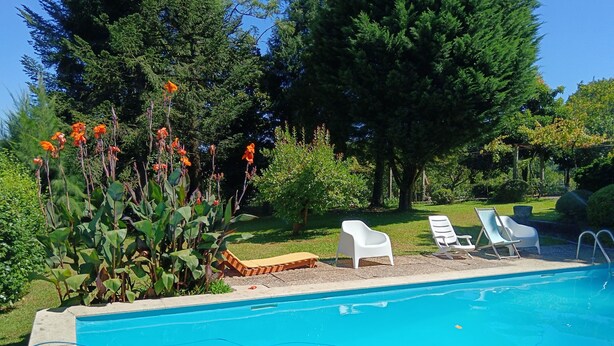A swimming pool with lounge chairs and a garden with trees and plants.