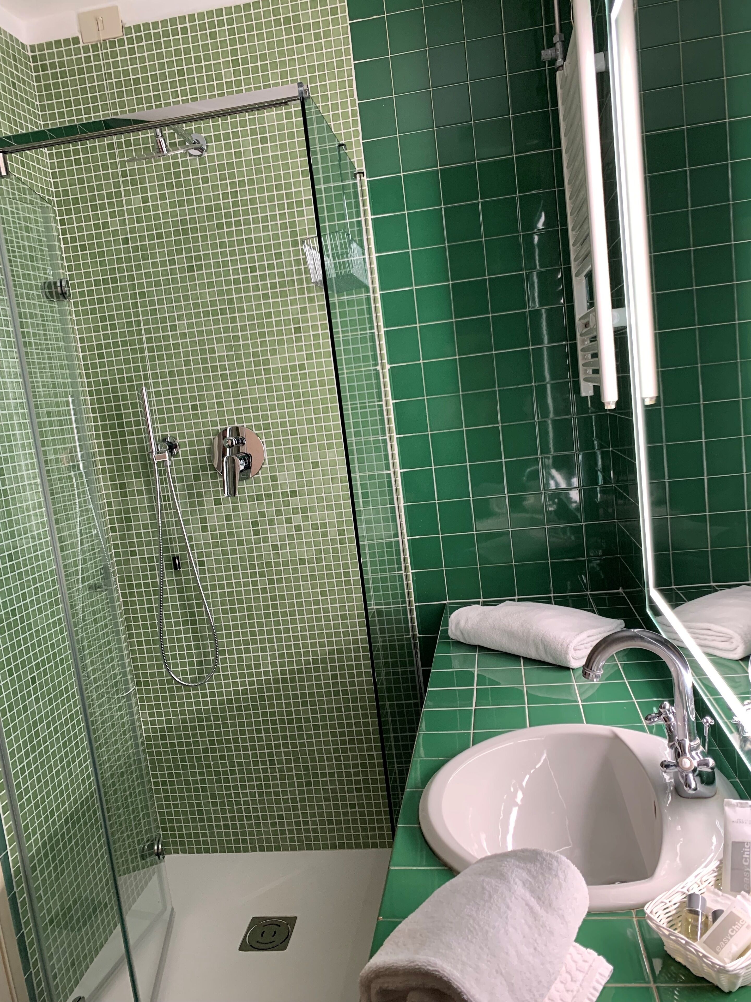 free toiletries, hair dryer, bidet, towels