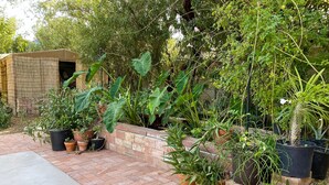 A garden with various potted plants and a brick pathway. - ‘Garden House’ - Beautiful Mid-Century Home (Tucson)